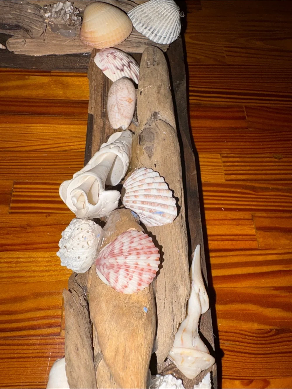 Real Driftwood & Seashell Decorative Photo Frame Handmade Coastal Nautical Decor